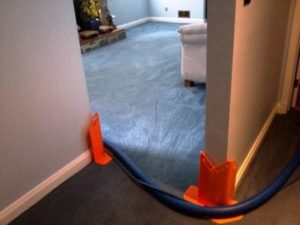 White Marsh carpet cleaning services