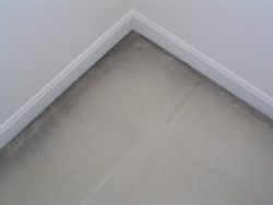 carpet-filtration-stains