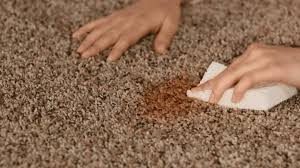carpet-stain-removal-service-in-baltimore-clean-choice-md