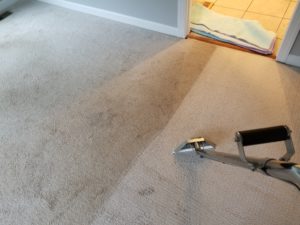 Deep Cleaning Professional Carpet Cleaning