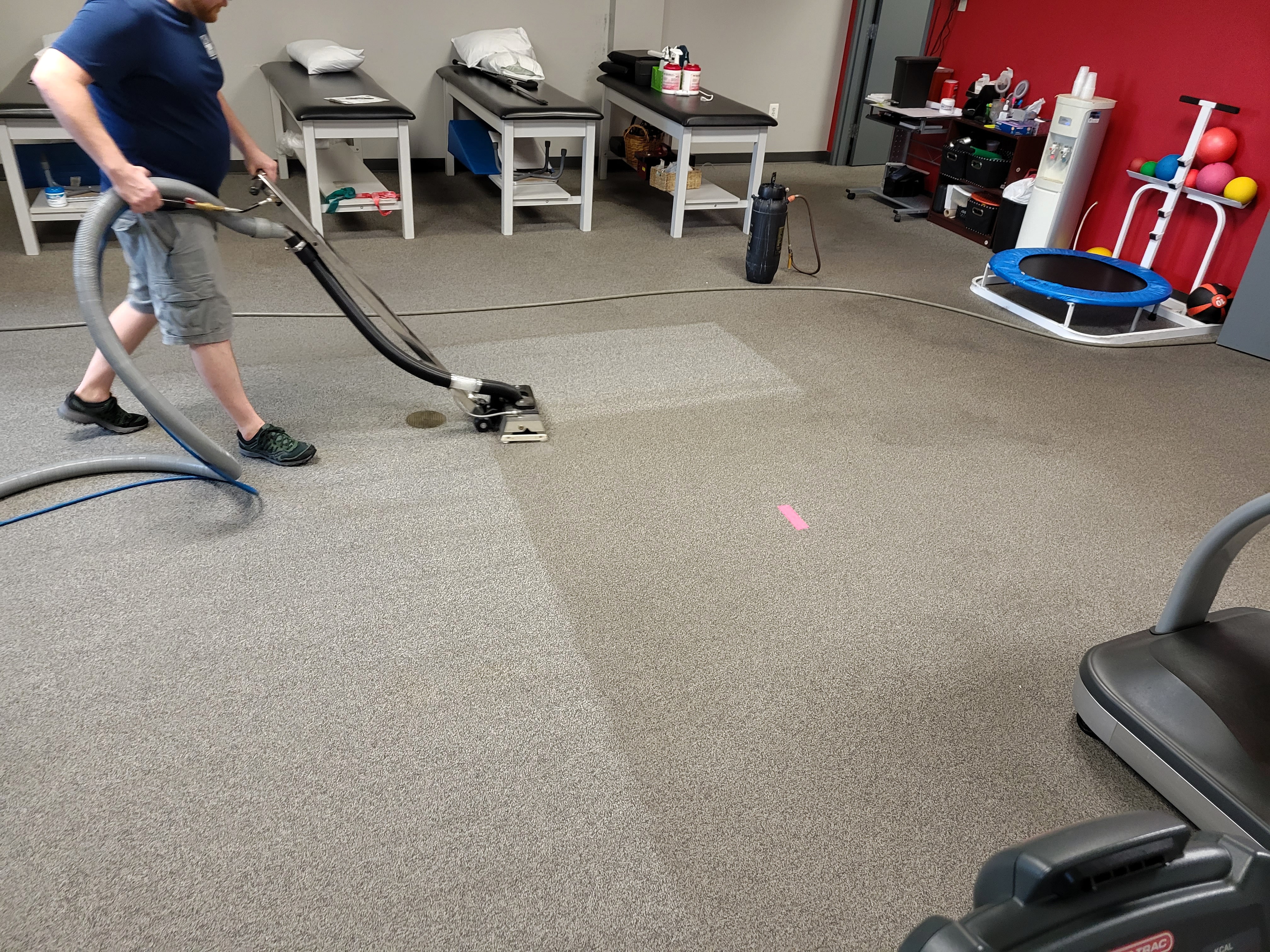 non-toxic rug cleaning in elkridge md