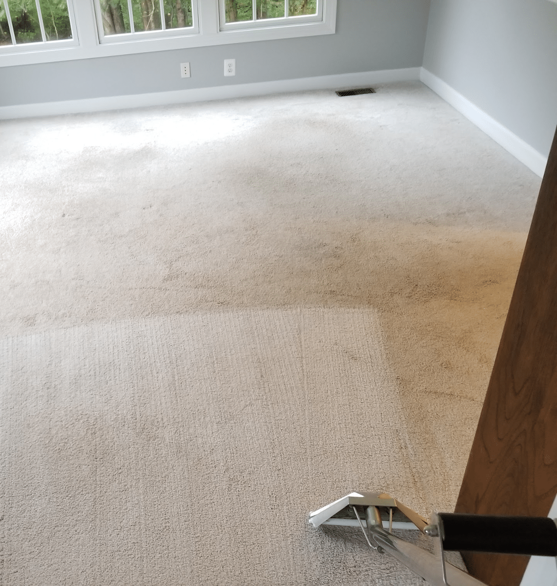 non-toxic rug cleaning services in elkridge md